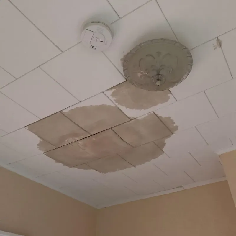 Ceiling Water Damage Repair in Baker County, FL